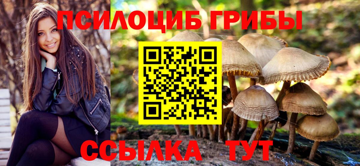 Галлюциногенные грибы Psilocybine cubensis  Псилоцибиновые грибы Psilocybe  Крымск  Вход с VPN 