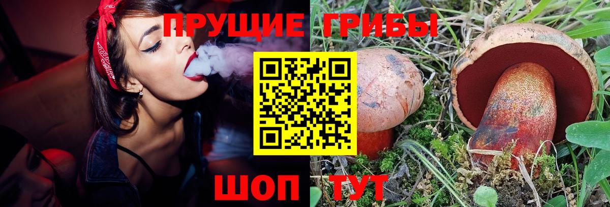 Галлюциногенные грибы мицелий Крымск